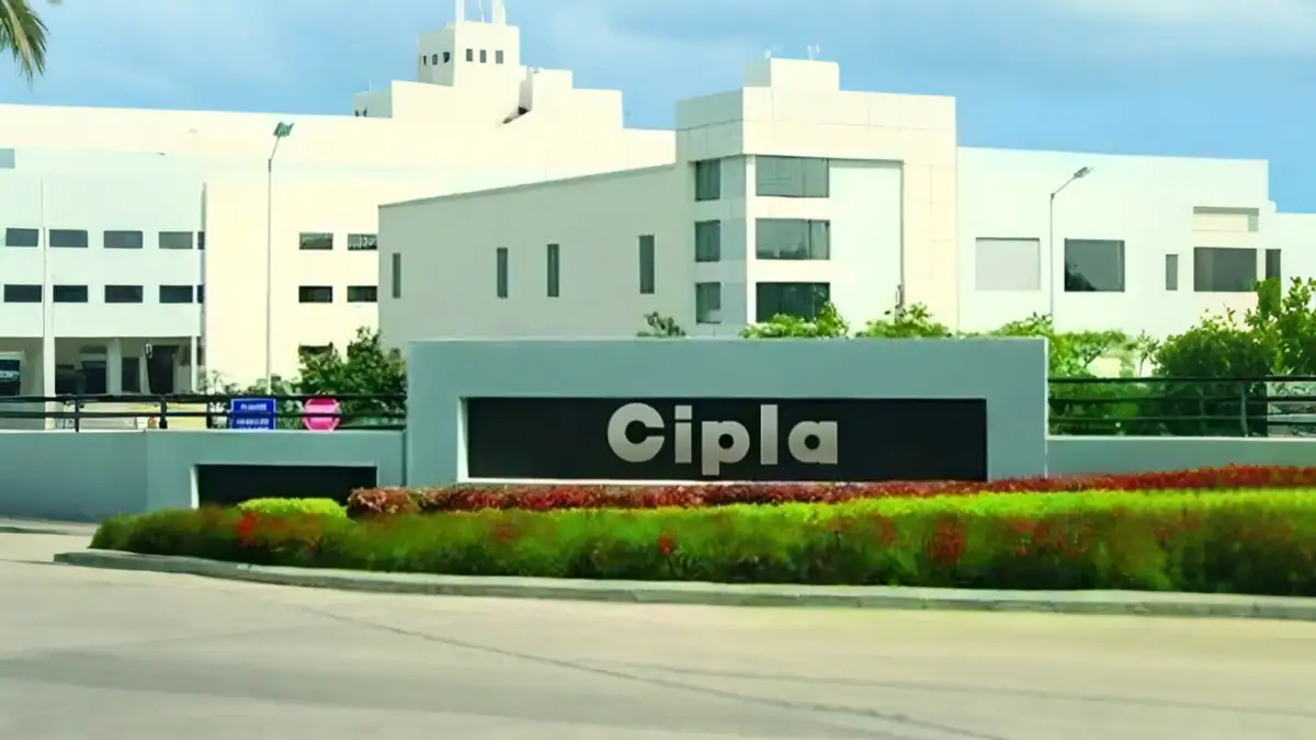 Cipla Q2 Result, Cipla earnings, Cipla profit report, Cipla quarterly result, pharma earnings India, Cipla share price update, Cipla financial performance