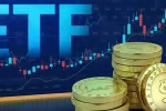 investing in ETFs, ETF investing India guide, how to invest in ETFs India, best ETFs India 2025, Nifty ETF beginners, Sensex ETF investment tips, ETF SIP India