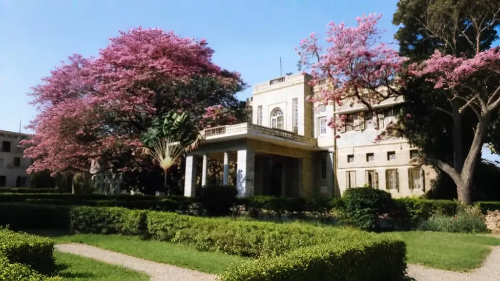 PSU new project,
RITES Ltd news,
PSU stock update,
Government contract win,
Indian PSU growth,
Infra project news India,
Stock market PSU update